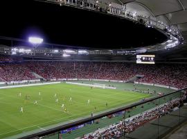 Your stag group can see famous Stuttgart's football stadium
